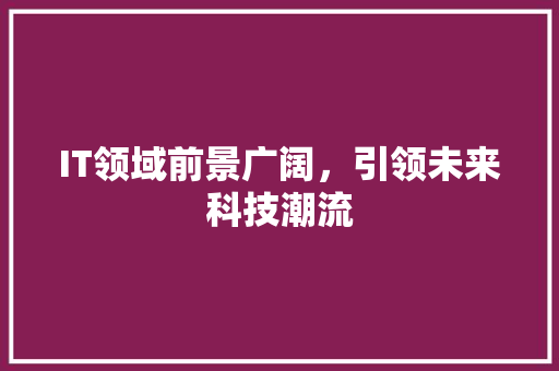 IT领域前景广阔，引领未来科技潮流