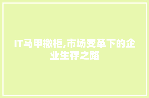 IT马甲撤柜,市场变革下的企业生存之路