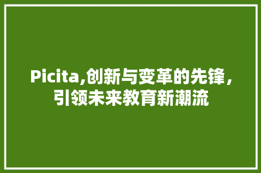 Picita,创新与变革的先锋，引领未来教育新潮流