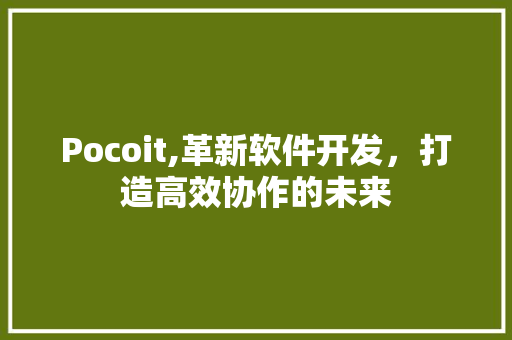 Pocoit,革新软件开发，打造高效协作的未来